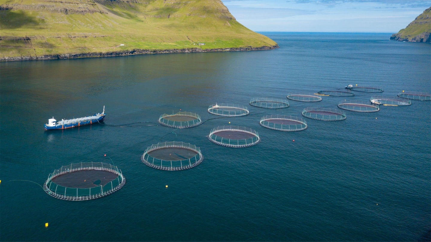 Aquafeed Industries